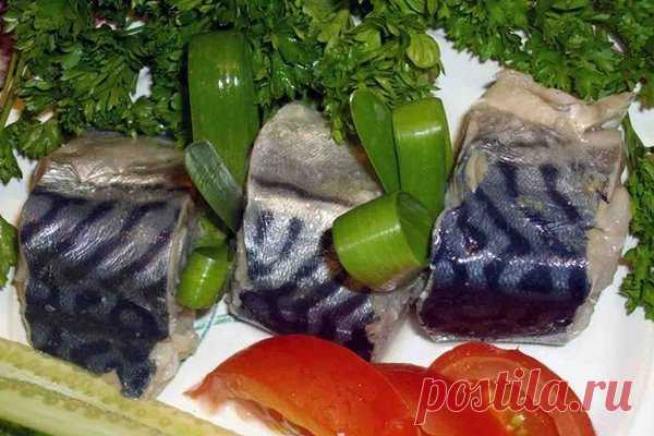 Лучшие рецепты засолки скумбрии