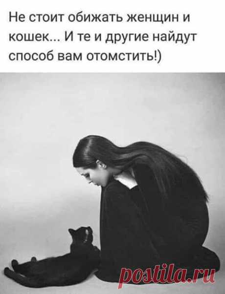 Группа «Женский сарказм»