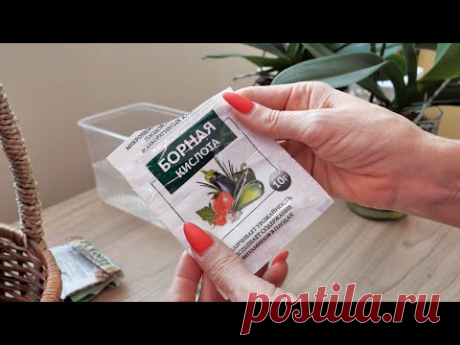 ЦВЕТОНОСЫ на орхидеях ЗА 2 ДНЯ?! Совпадение или МОЛНИЕНОСНЫЙ результат?! ГЛАЗАМ НЕ ВЕРЮ!