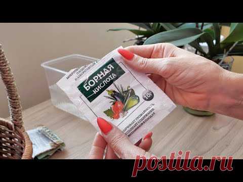 ЦВЕТОНОСЫ на орхидеях ЗА 2 ДНЯ?! Совпадение или МОЛНИЕНОСНЫЙ результат?! ГЛАЗАМ НЕ ВЕРЮ!