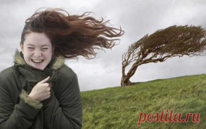 ЭТА ИСТОРИЯ МОЖЕТ ВСЁ ИЗМЕНИТЬ В ВАШЕЙ ЖИЗНИ...