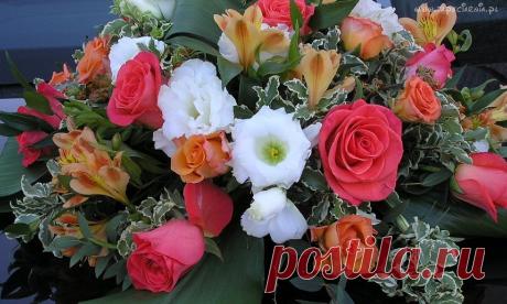 133647_bukiet_kwiatow.jpg (1280×768)