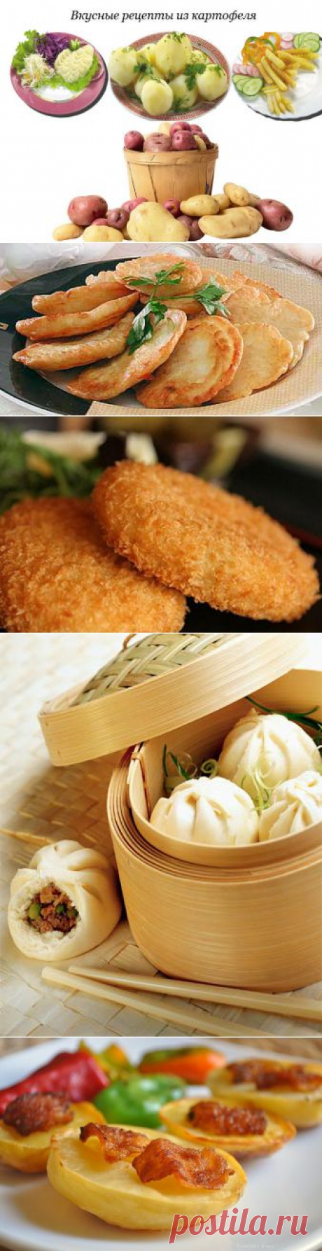 Самые вкусные блюда из картофеля