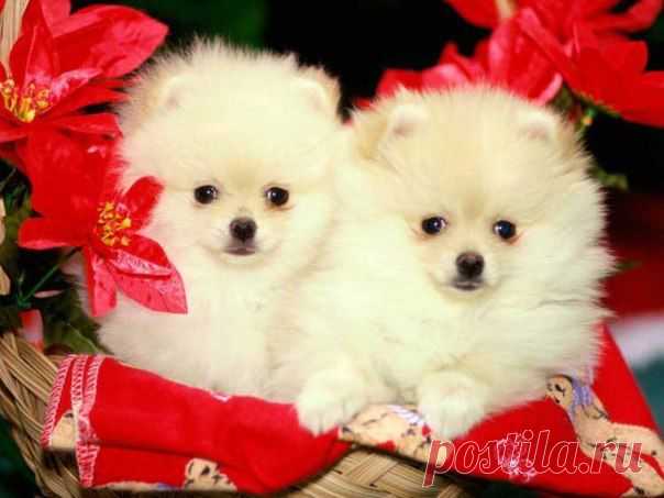 Самое главное и ценное в жизни - это семья. Сначала - в которой ты рождаешься, а затем - которую создаешь.