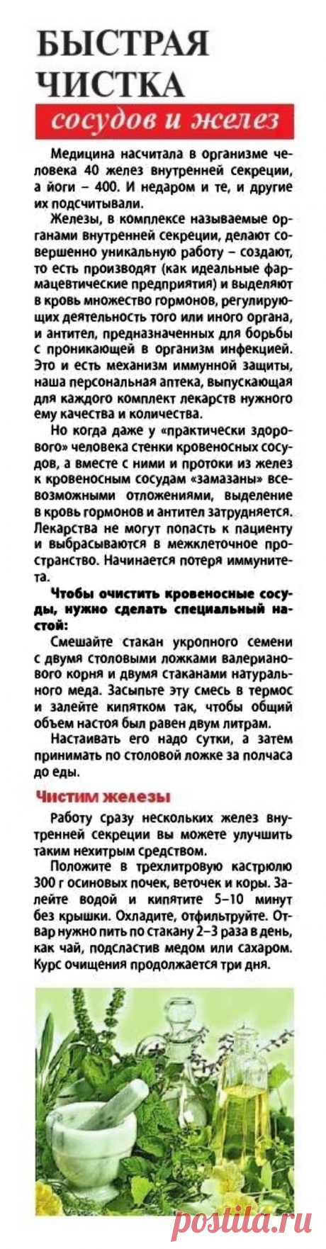 Быстрая чистка сосудов и желез