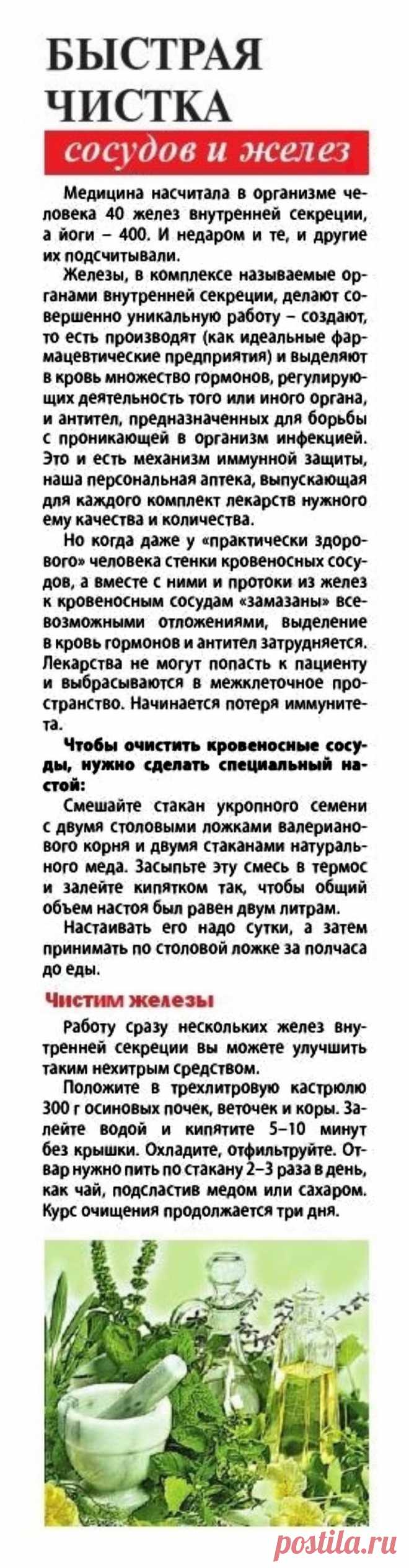 Быстрая чистка сосудов и желез
