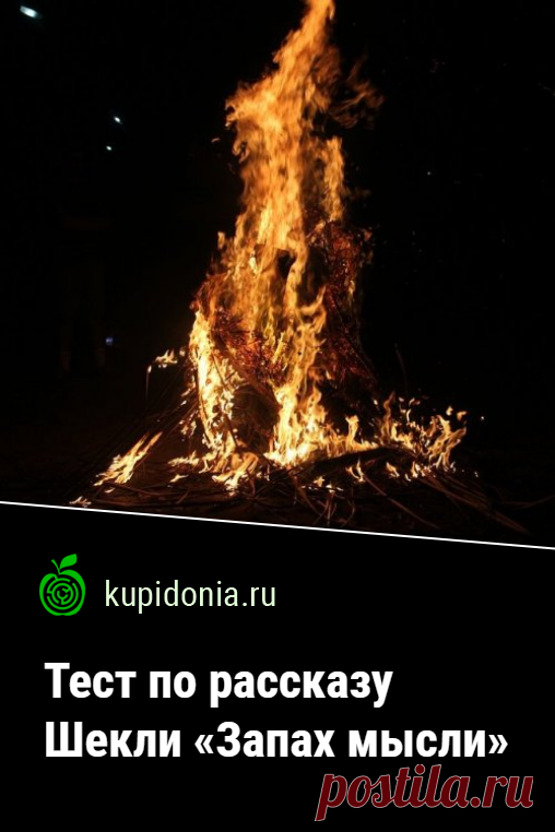 Тест по рассказу Шекли «Запах мысли». Проверочный тест по произведению Роберта Шекли. Зарубежная литература, фантастика. Пройдите тест на сайте и проверьте свои знания!