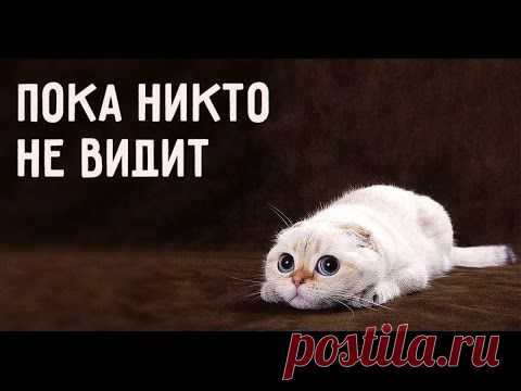 Пока никто не видит...