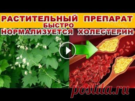 НЕ ПЕЙТЕ СТАТИНЫ ОТ ХОЛЕСТЕРИНА -ЗАМЕНИТЕ ИХ НАТУРАЛЬНЫМ РАСТИТЕЛЬНЫМ ,БЕЗВРЕДНЫМ ПРЕПАРАТОМ. Достойная альтернатива СТАТИНАМ — натуральное лекарственное средство ВАЗОСПОНИН! повышает образование в стенке кровеносных сосудов важнейшего соединен...
