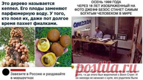 #юмор
