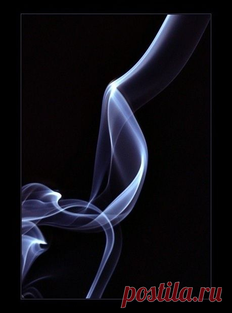 Фотография призрачный нюанс... из раздела макро №1046938 - фото.сайт - Photosight.ru