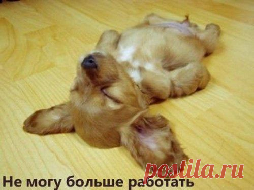 Анекдоты в конце рабочей недели (9 шт)