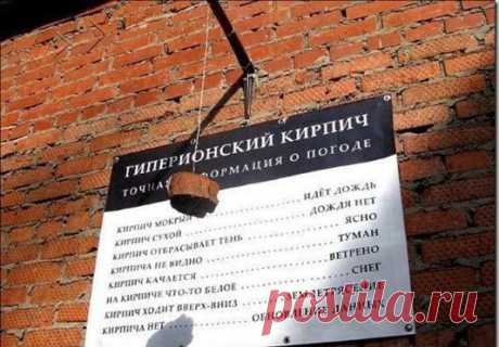 Наша жизнь: Смешные надписи и объявления)) - 16 Сентября 2014 - Наша планета.Новости экологии