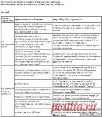 Когда опрыскивать сад? / Асиенда.ру