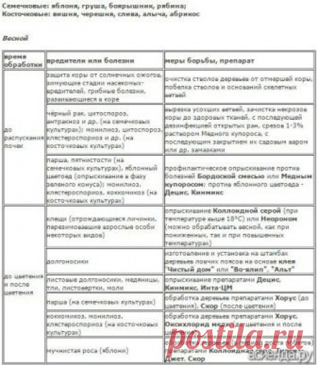 Когда опрыскивать сад? / Асиенда.ру