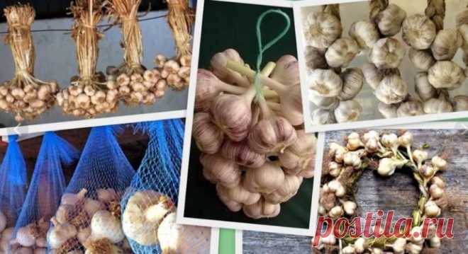 Как лучше всего хранить чеснок
