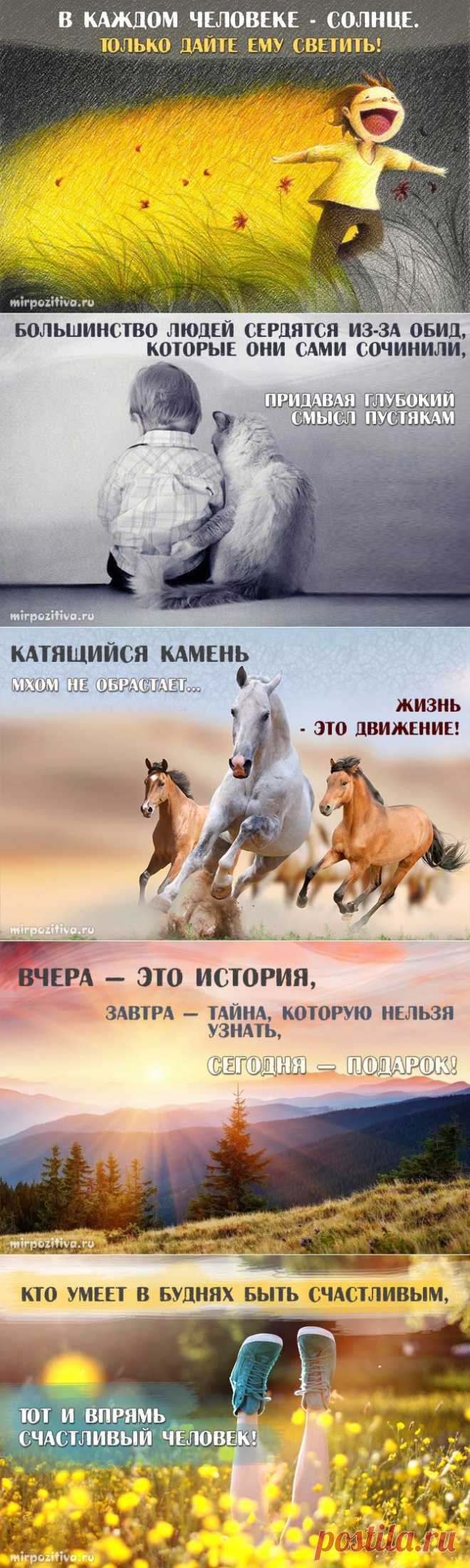 Мудрость в каждой фразе