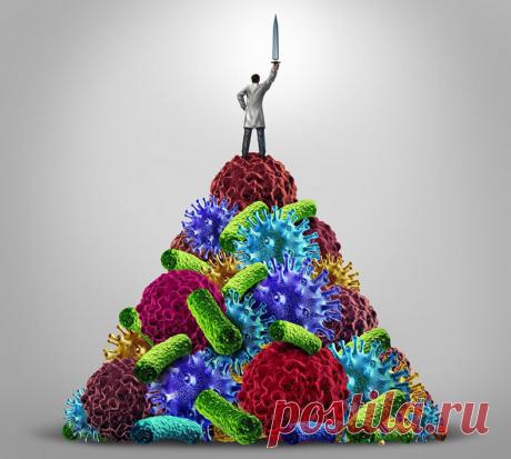 МИКРОБИОМ: Научный взгляд на «починку» сломанной функции