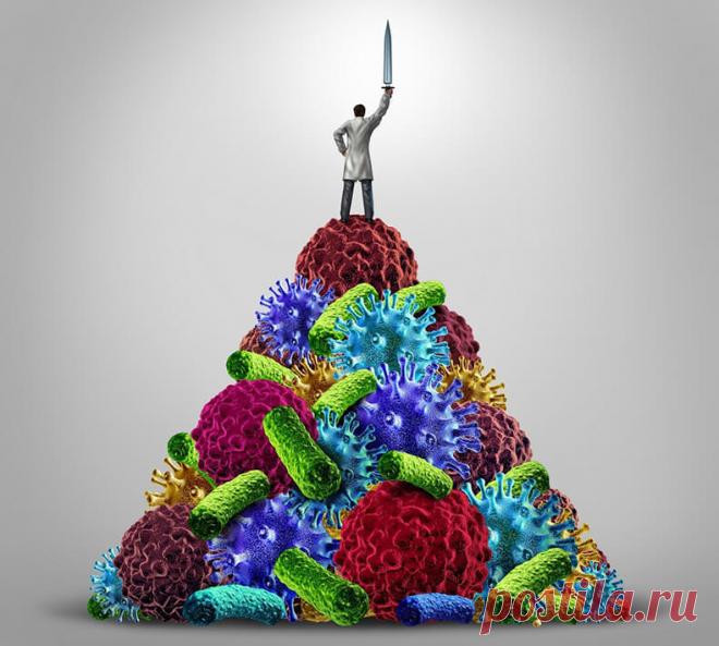 МИКРОБИОМ: Научный взгляд на «починку» сломанной функции