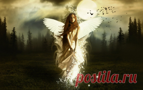 fantasy_girl_9-widescreen_wallpapers.jpg (Изображение JPEG, 1920 × 1200 пикселов) - Масштабированное (64%)