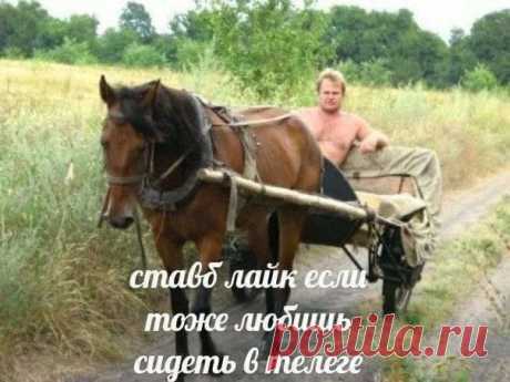 САМОЕ-ТО ОНЛАЙН 2024