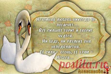 Интересные новости