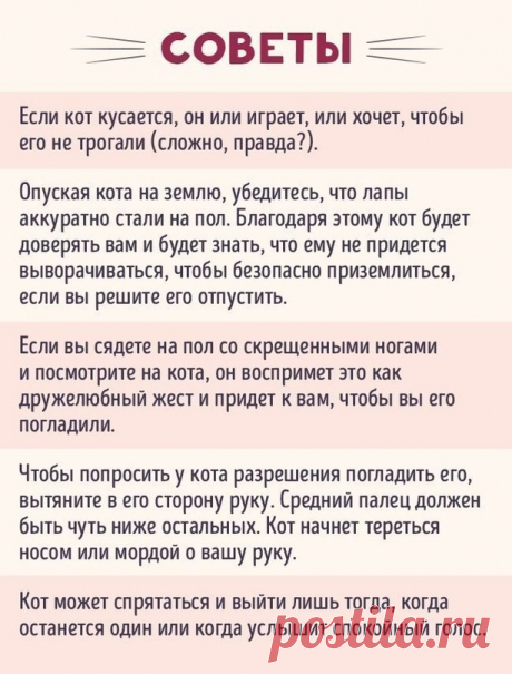 :3