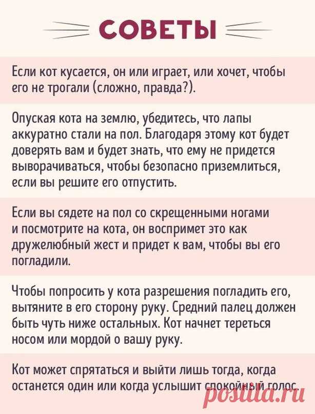 :3