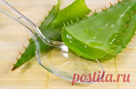 Кератома: фото, симптомы, причины и лечение старческой, себорейной кератомы + удаление новообразования и народные средства лечения