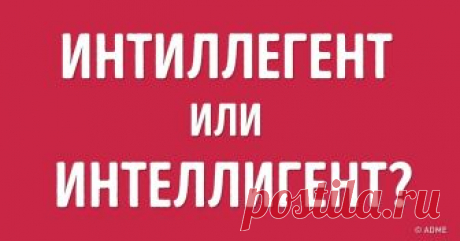 Тест: Сможете ли вы правильно написать слова, в которых ошибаются даже филологи? В 20-х годах прошлого века быть грамотным было неприлично: считалось, что правильно писать и говорить могли только классовые враги — дворяне и интеллигенция. Сейчас, к счастью, ситуация изменилась, и человек, допускающий кучу ошибок, может даже стать посмешищем. Однако русский язык считается одним из самых сложных в мире, и в нем есть слова, в которых может ошибиться даже круглый отличник.