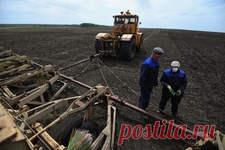 Российские аграрии стали реже закупать отечественную технику. Российские аграрии сократили закупки отечественной сельскохозяйственной техники. К этому привело подорожание оборудования на фоне снизившейся доходности аграриев в условиях низких цен на зерно. Производители спецтехники просят у государства субсидировать расходы аграриев и отменить для них пошлины на товары.