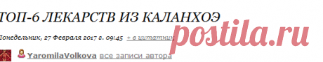 ТОП-6 лекарств из каланхоэ