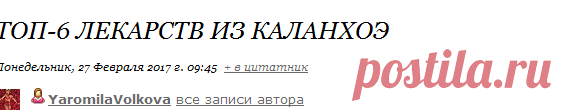 ТОП-6 лекарств из каланхоэ
