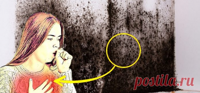 4 признака того, что в вашем доме черная плесень и как избавиться от нее Черная плесень — обычная крытая плесень, которая растет во влажных и темных областях в домах. Так же, как и другие виды плесени, выпускает споры в воздух, которые затем...