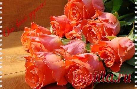 моим любимым,сокровищам ~ Стихи (Мир души) ~ Beesona.Ru