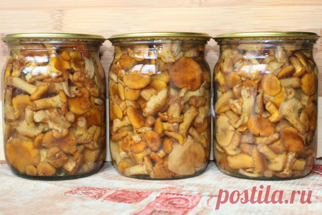 Изумительный маринад абсолютно для любых грибов — настоящая находка для хозяек — PROKulinaroff