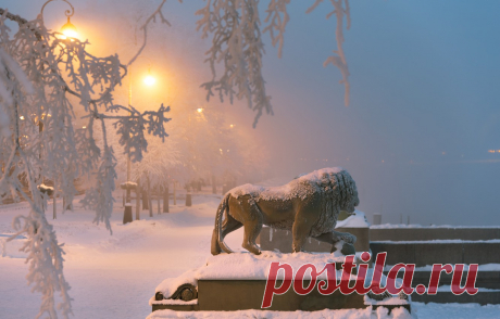 Снежный Питер, Россия (Большая коллекция фотографий) - artshots.ru