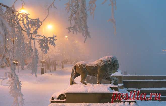 Снежный Питер, Россия (Большая коллекция фотографий) - artshots.ru