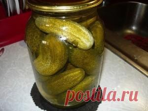 ОГУРЦЫ ИЗ ПОД КРАНА — Женский блог