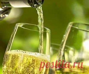 10 мифов об алкоголе, которые вредят здоровью - health info