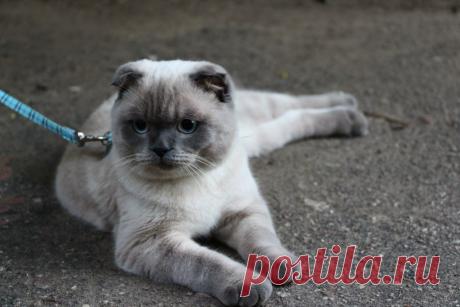 Умный дом. Полезные советы!