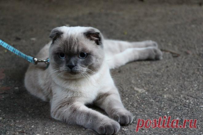 Умный дом. Полезные советы!