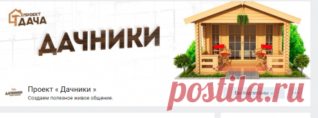 Проект « Дачники »