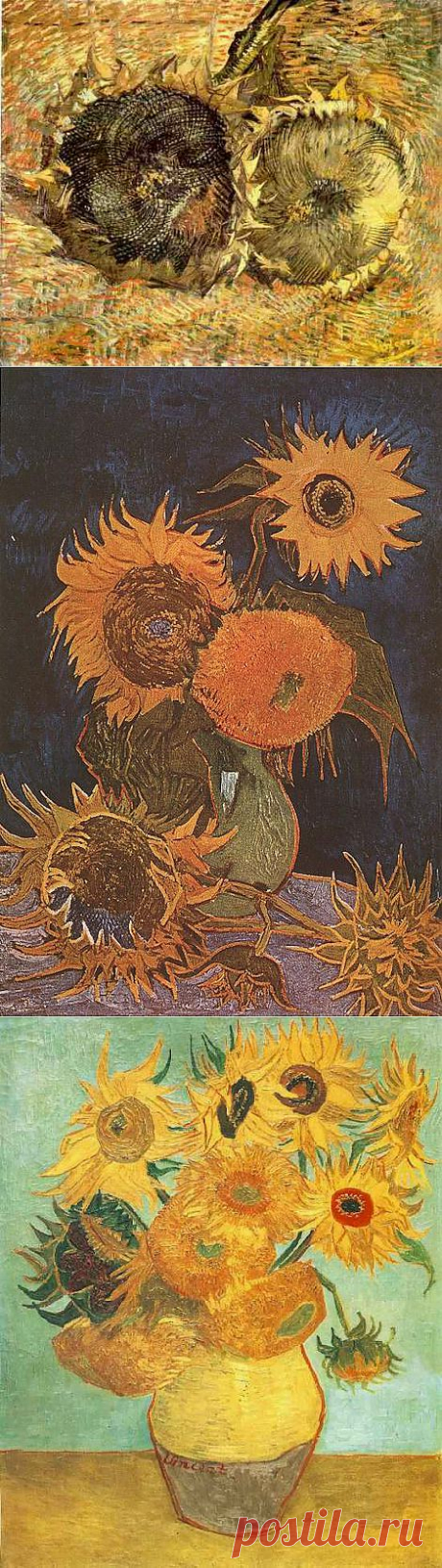 Любимым цветок Ван Гога: Подсолнухи | Искусство