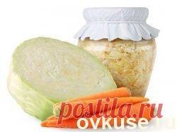 Как солить капусту