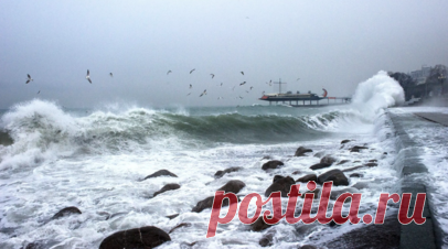 Синоптик Леус рассказал о погоде на Черноморском побережье. Ведущий сотрудник центра погоды «Фобос» Михаил Леус в беседе с RT рассказал о погоде на Черноморском побережье. Читать далее