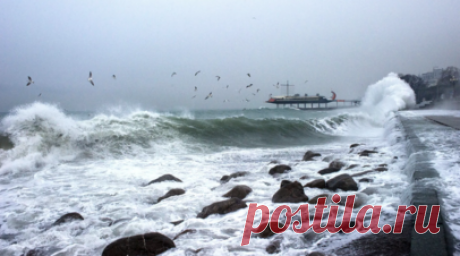 Синоптик Леус рассказал о погоде на Черноморском побережье. Ведущий сотрудник центра погоды «Фобос» Михаил Леус в беседе с RT рассказал о погоде на Черноморском побережье. Читать далее