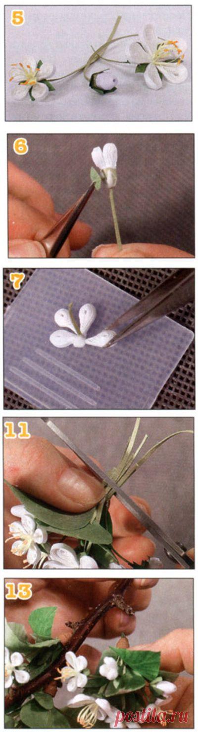 Яблоневый цвет. Квиллинг | Сайт о рукоделии