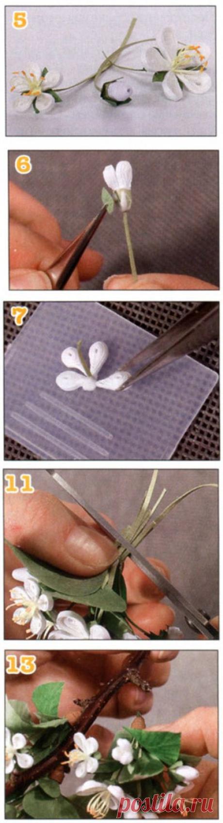 Яблоневый цвет. Квиллинг | Сайт о рукоделии