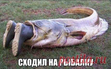 Абсолютно чистый легальный интернет-проект.Официальное трудоустройство стабильный доход,соц-пакет.Без распрастранения продукции и финансовых вложений.Предложение подходит абсолютно всем начиная от студентов и людей пенсионного возраста,возможно совмещение с основной работой.Подробности в сообщение.https://zy4zy.blogspot.com
